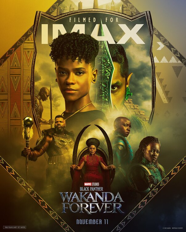 1000 piece jigsaw puzzle for the movie poster: Black Panther: Wakanda Forever (2022) ver3