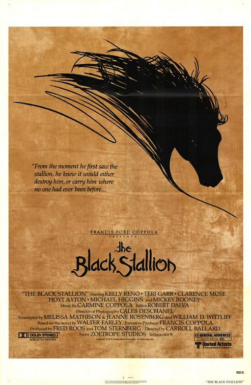 the movie poster: The Black Stallion (1979)