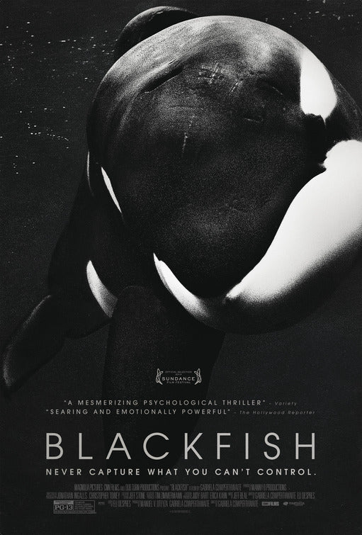 1000 piece jigsaw puzzle for the movie poster: Blackfish (2013)