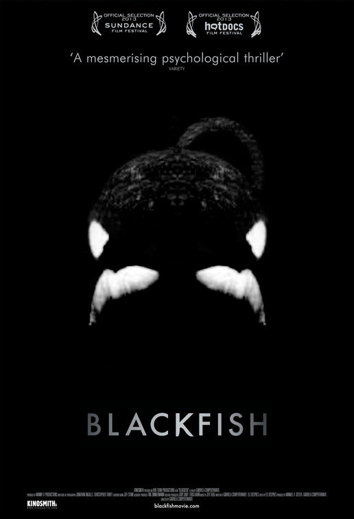 1000 piece jigsaw puzzle for the movie poster: Blackfish (2013) ver2