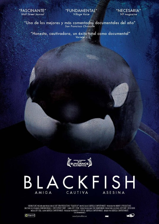 1000 piece jigsaw puzzle for the movie poster: Blackfish (2013) ver3