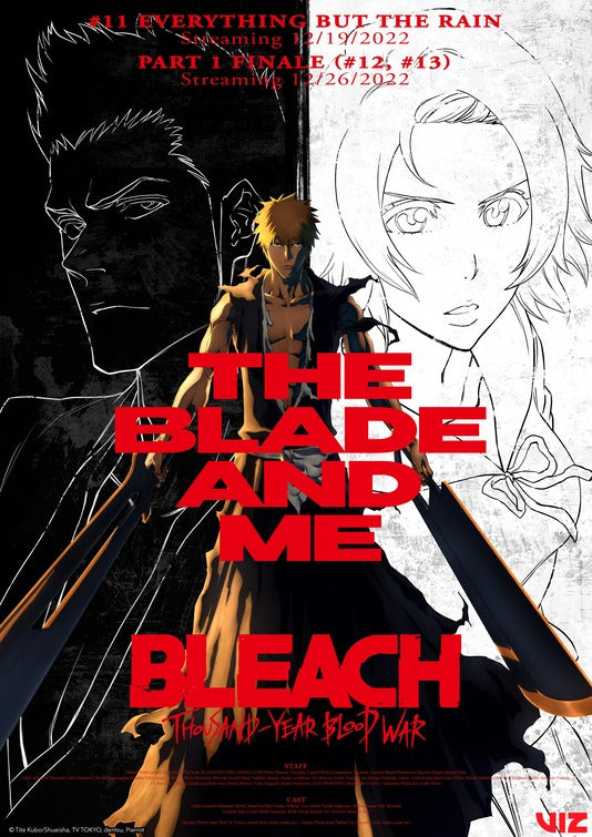 1000 piece jigsaw puzzle for tv poster: Bleach: Thousand Year Blood War, ver3