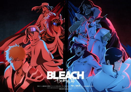 1000 piece jigsaw puzzle for tv poster: Bleach: Thousand Year Blood War, ver7