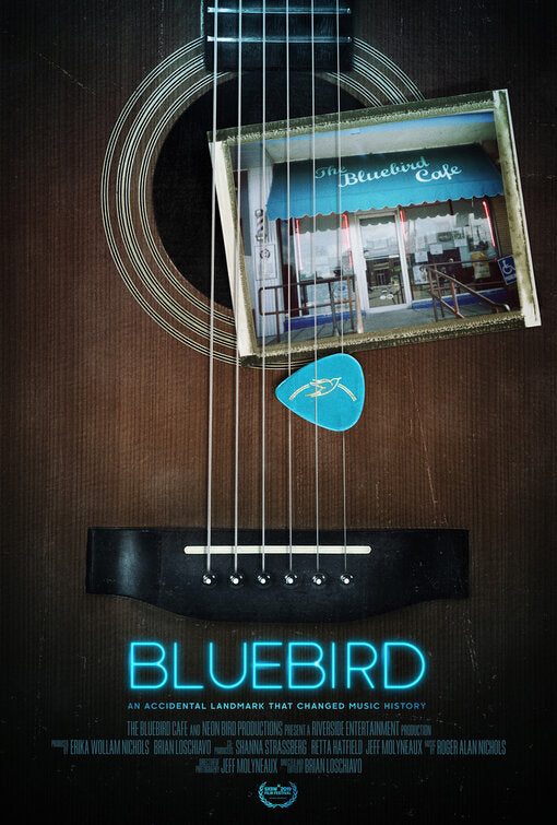 1000 piece jigsaw puzzle for the movie poster: Bluebird (2019)