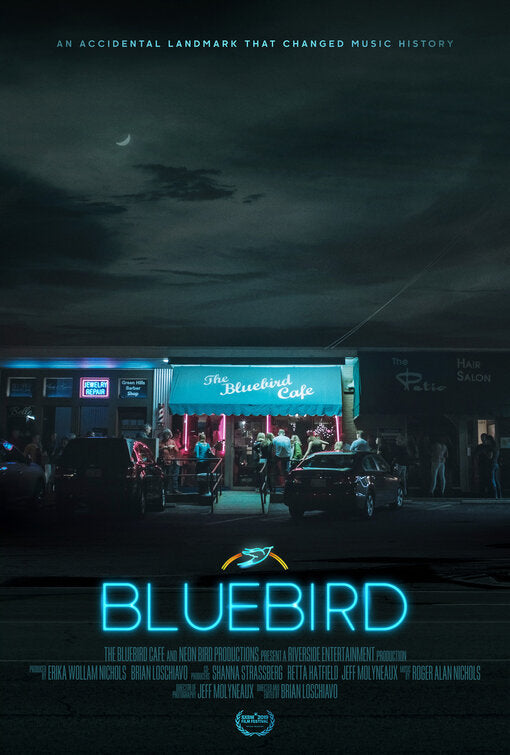 1000 piece jigsaw puzzle for the movie poster: Bluebird (2019) ver2
