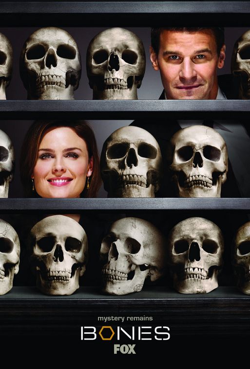1000 piece jigsaw puzzle for tv poster: Bones, ver2
