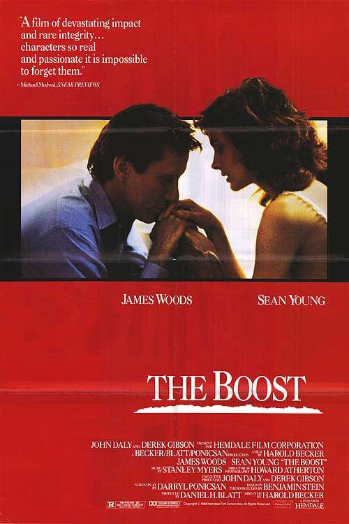 the movie poster: The Boost (1988)