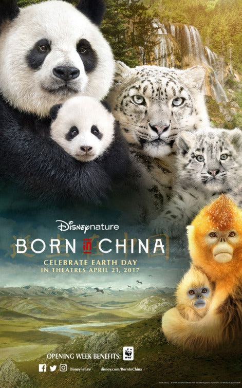1000 piece jigsaw puzzle for the movie poster: Born in China (2016) ver2