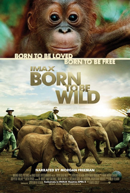 1000 piece jigsaw puzzle for the movie poster: Born to Be Wild (2011)