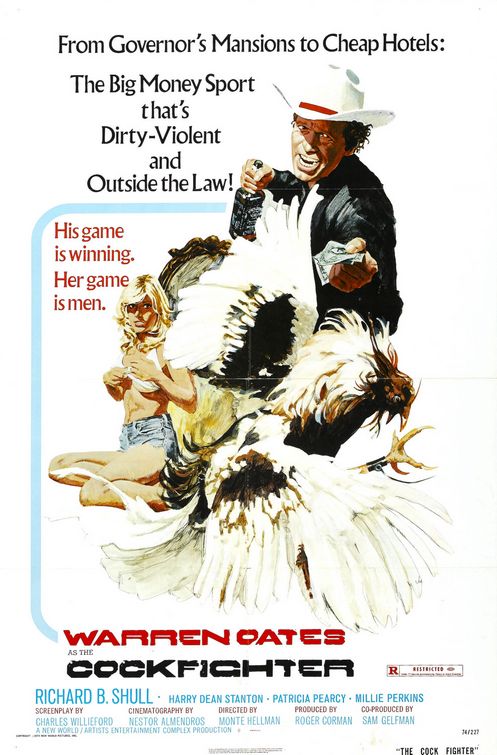 the movie poster: Born to Kill (aka Cockfighter) (1974) ver2
