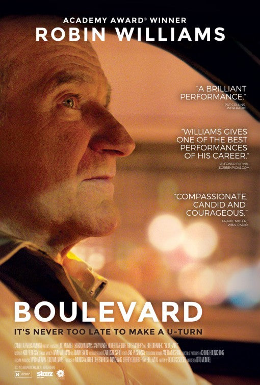 1000 piece jigsaw puzzle for the movie poster: Boulevard (2015)