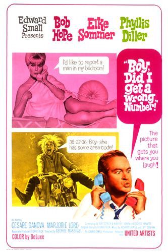 the movie poster: Boy, Did I Get a Wrong Number! (1966)