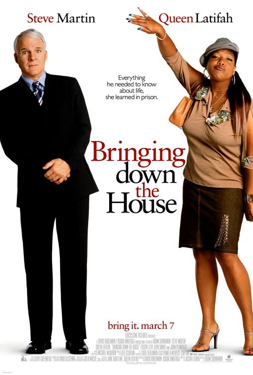 the movie poster: Bringing Down the House (2003)
