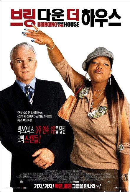 the movie poster: Bringing Down the House (2003) ver3