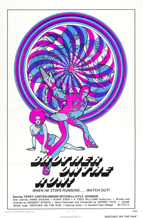 the movie poster: Brother on the Run (1973)