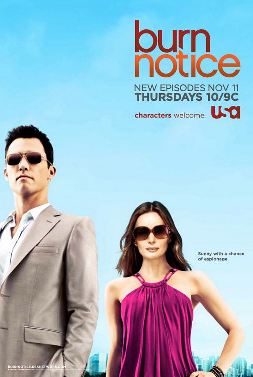 1000 piece jigsaw puzzle for tv poster: Burn Notice, ver5