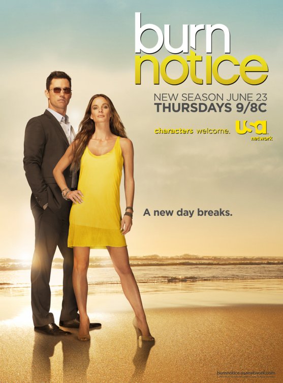 1000 piece jigsaw puzzle for tv poster: Burn Notice, ver6