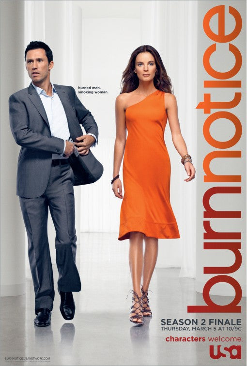 1000 piece jigsaw puzzle for tv poster: Burn Notice, ver9