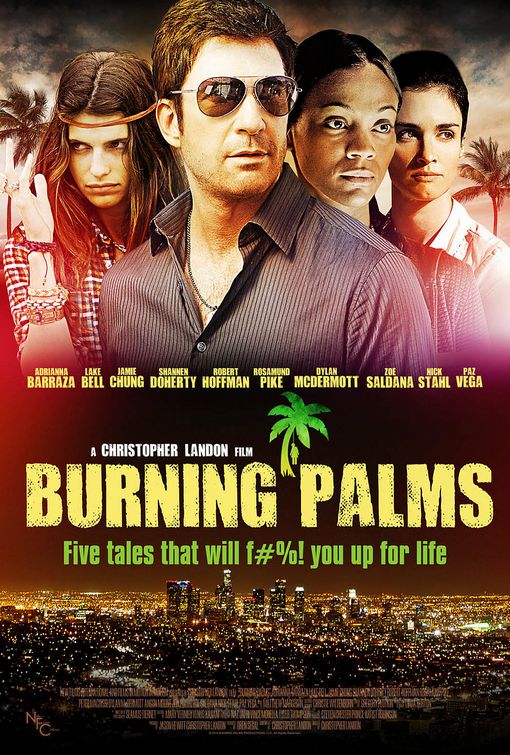 1000 piece jigsaw puzzle for the movie poster: Burning Palms (2011) ver2