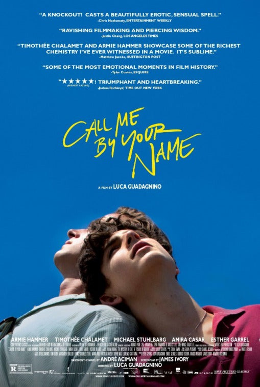 1000 piece jigsaw puzzle for the movie poster: Call Me by Your Name (2017)
