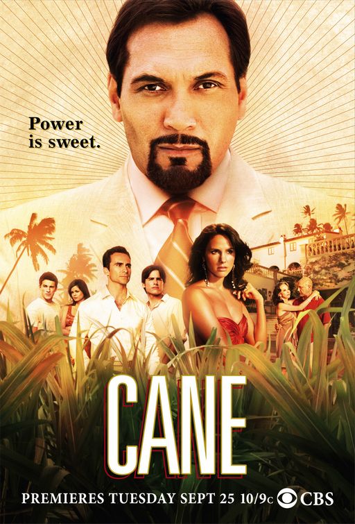 1000 piece jigsaw puzzle for tv poster: Cane