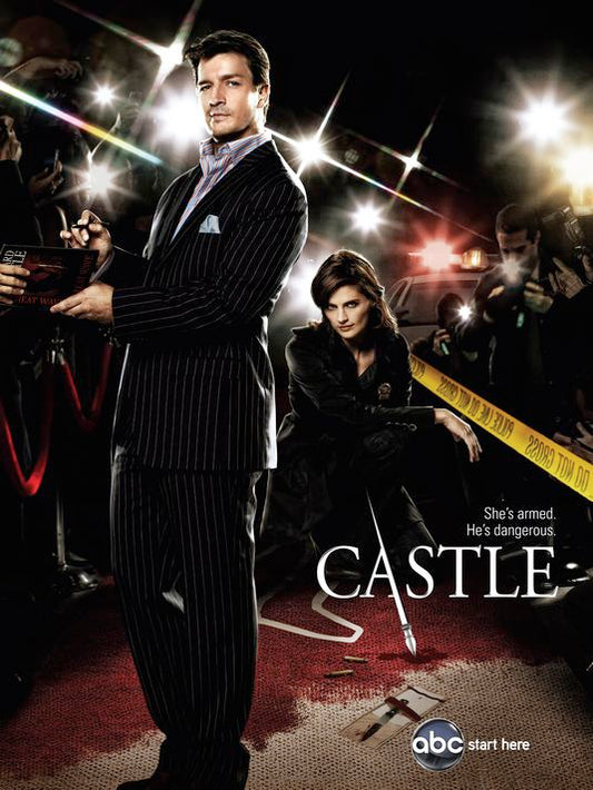 1000 piece jigsaw puzzle for tv poster: Castle