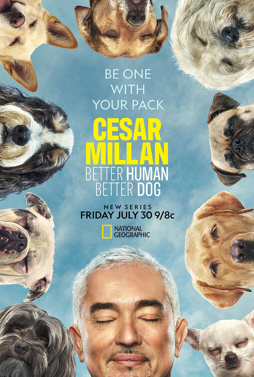 1000 piece jigsaw puzzle for tv poster: Cesar Millan: Better Human Better Dog