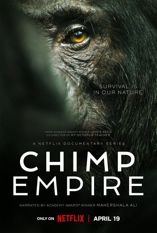 1000 piece jigsaw puzzle for tv poster: Chimp Empire
