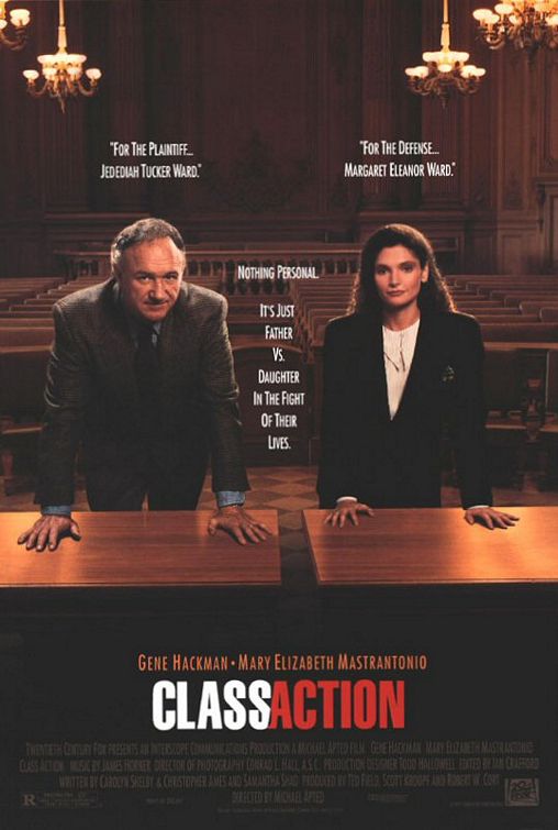 the movie poster: Class Action (1991)
