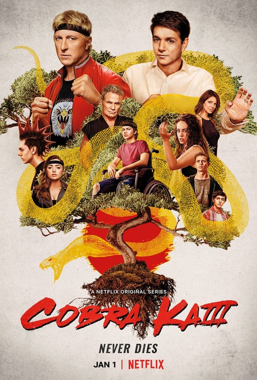 1000 piece jigsaw puzzle for tv poster: Cobra Kai, ver4