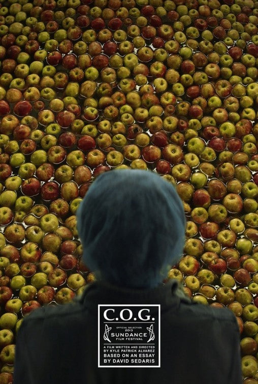 1000 piece jigsaw puzzle for the movie poster: C.O.G. (2013)