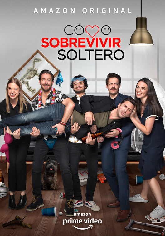 1000 piece jigsaw puzzle for tv poster: Como Sobrevivir Soltero, ver6