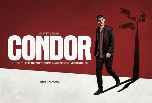 1000 piece jigsaw puzzle for tv poster: Condor, ver3