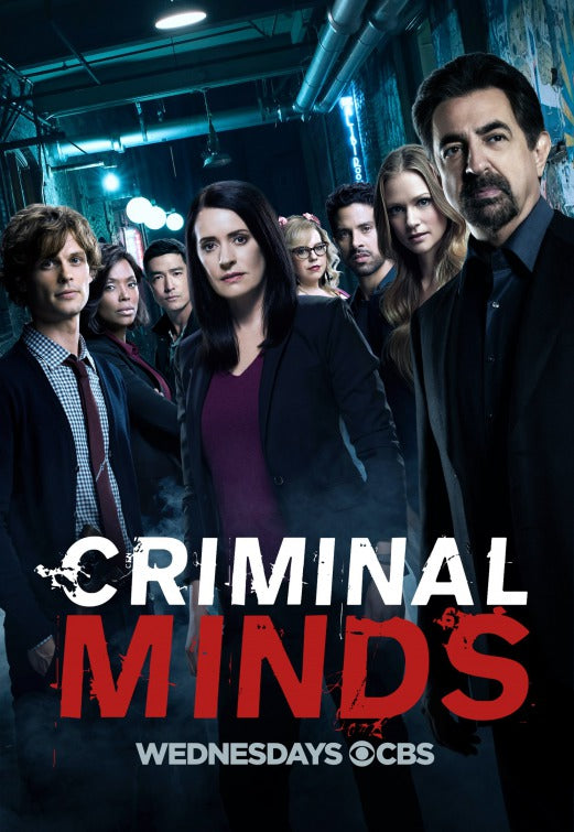 1000 piece jigsaw puzzle for tv poster: Criminal Minds, ver3