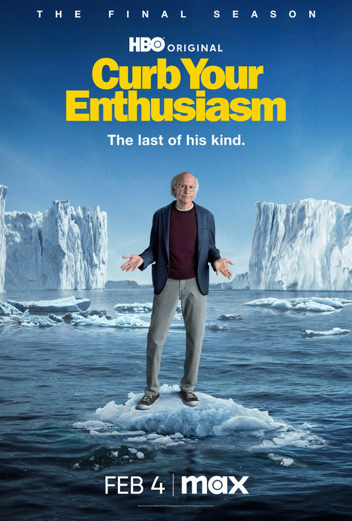 1000 piece jigsaw puzzle for tv poster: Curb Your Enthusiasm, ver12