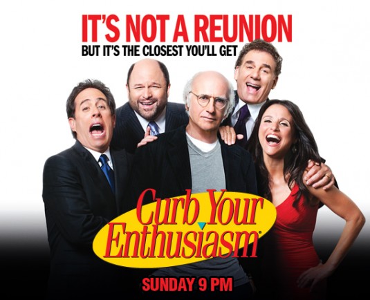 1000 piece jigsaw puzzle for tv poster: Curb Your Enthusiasm, ver6