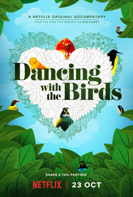 1000 piece jigsaw puzzle for tv poster: Dancing with the Birds