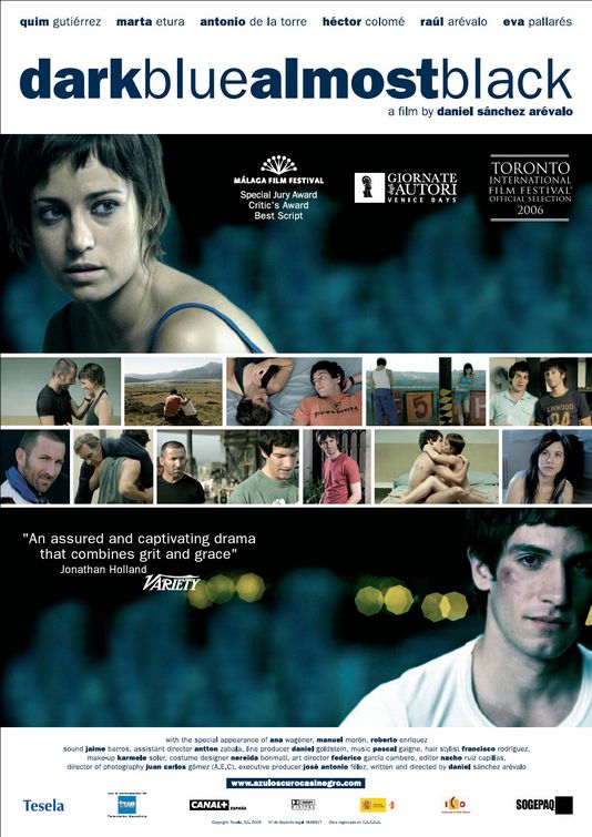 the movie poster: Dark Blue Almost Black (2007)