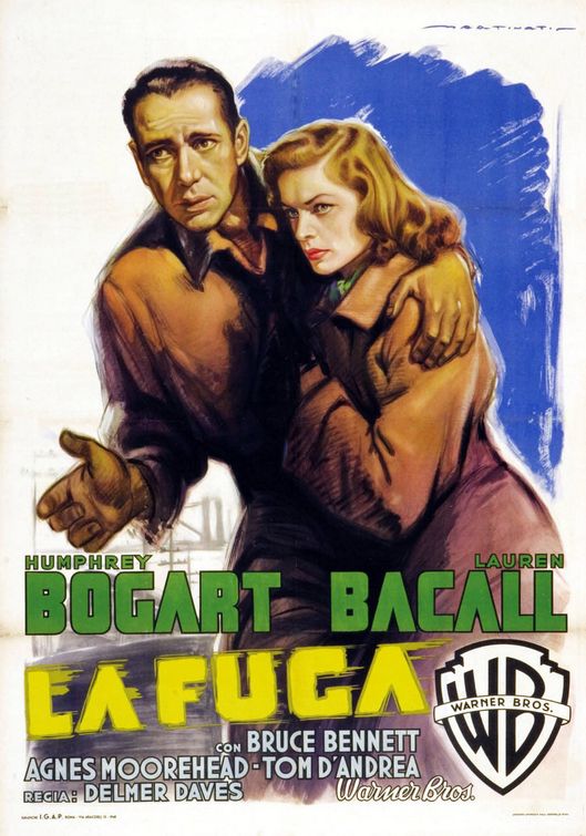 the movie poster: Dark Passage (1947) ver3