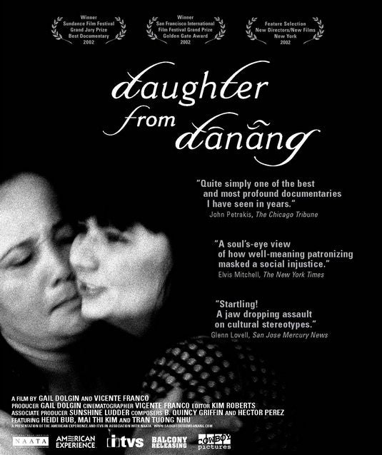 the movie poster: Daughter From Danang (2002)