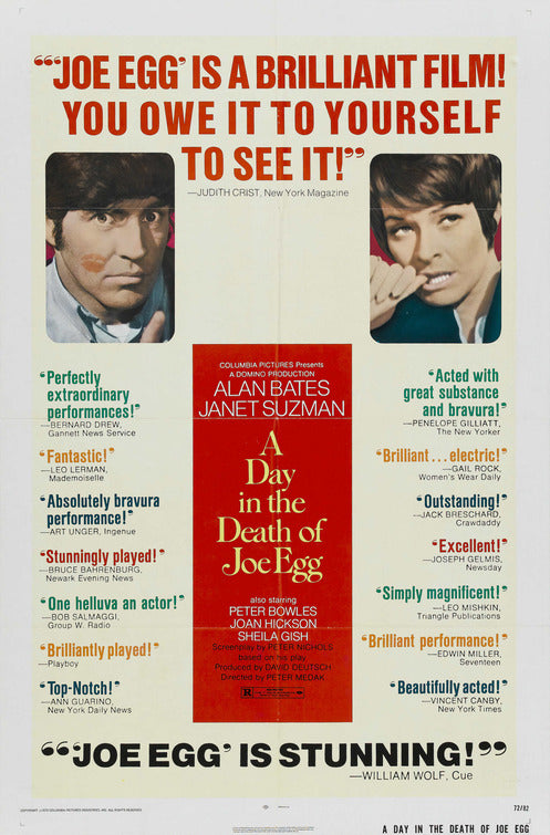 the movie poster: A Day in the Death of Joe Egg (1972)