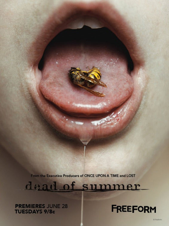 1000 piece jigsaw puzzle for tv poster: Dead of Summer
