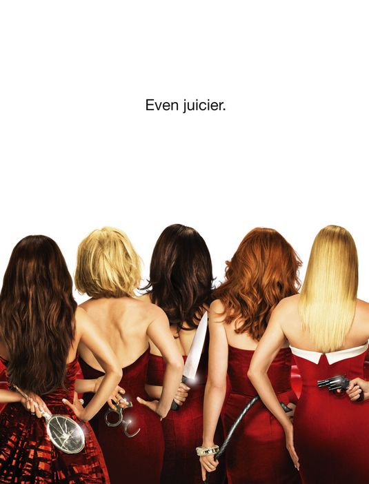 1000 piece jigsaw puzzle for tv poster: Desperate Housewives, ver6