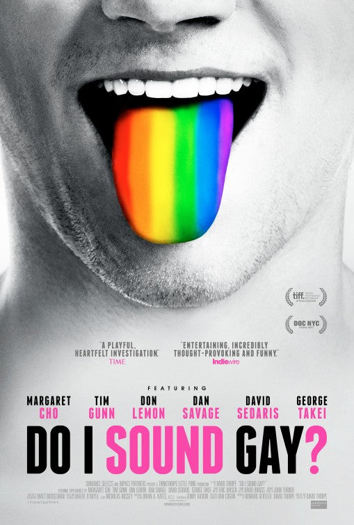 1000 piece jigsaw puzzle for the movie poster: Do I Sound Gay? (2015)