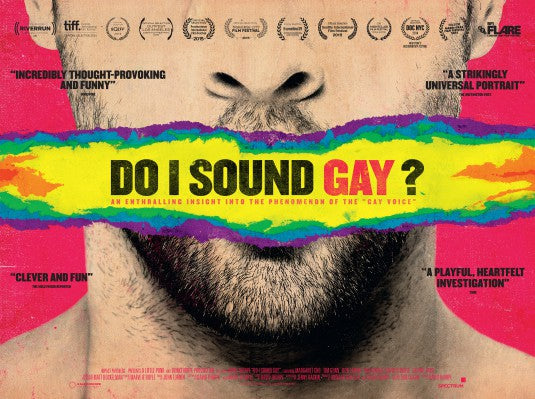 1000 piece jigsaw puzzle for the movie poster: Do I Sound Gay? (2015) ver2