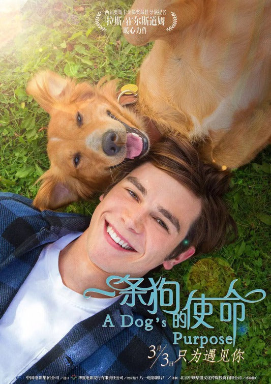 1000 piece jigsaw puzzle for the movie poster: A Dog's Purpose (2017) ver13