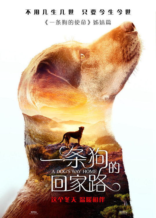 1000 piece jigsaw puzzle for the movie poster: A Dog's Way Home (2019) ver4