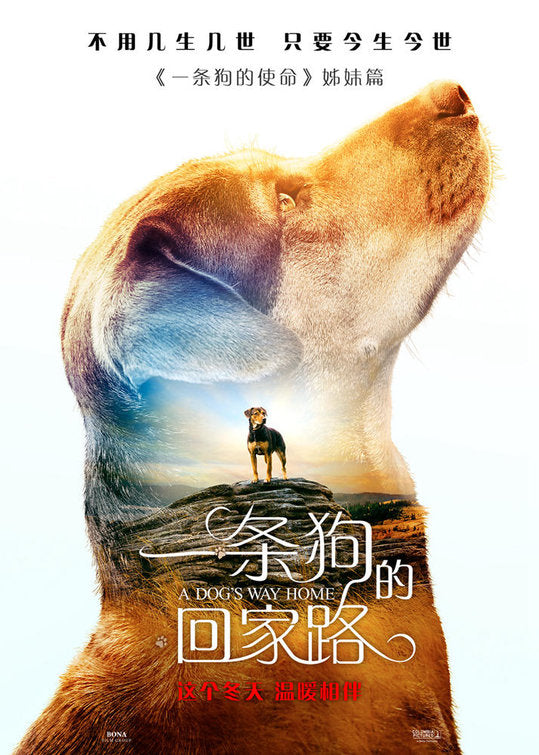 1000 piece jigsaw puzzle for the movie poster: A Dog's Way Home (2019) ver5