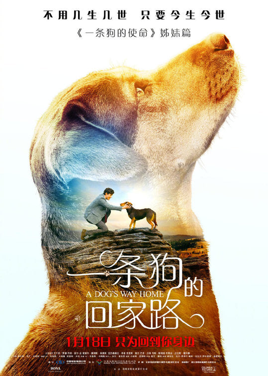 1000 piece jigsaw puzzle for the movie poster: A Dog's Way Home (2019) ver7