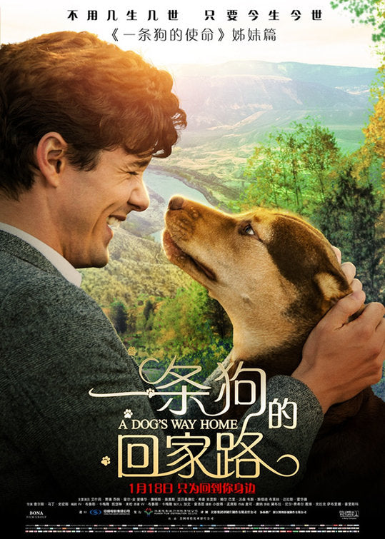 1000 piece jigsaw puzzle for the movie poster: A Dog's Way Home (2019) ver8